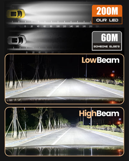 Stellar D4S LED 2023
