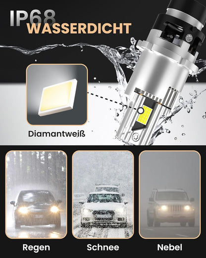 Stellar D2S LED 2026 Upgraded Technologie